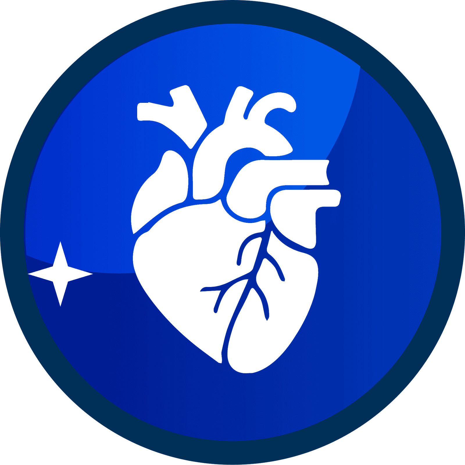 corazon brinsa cargador